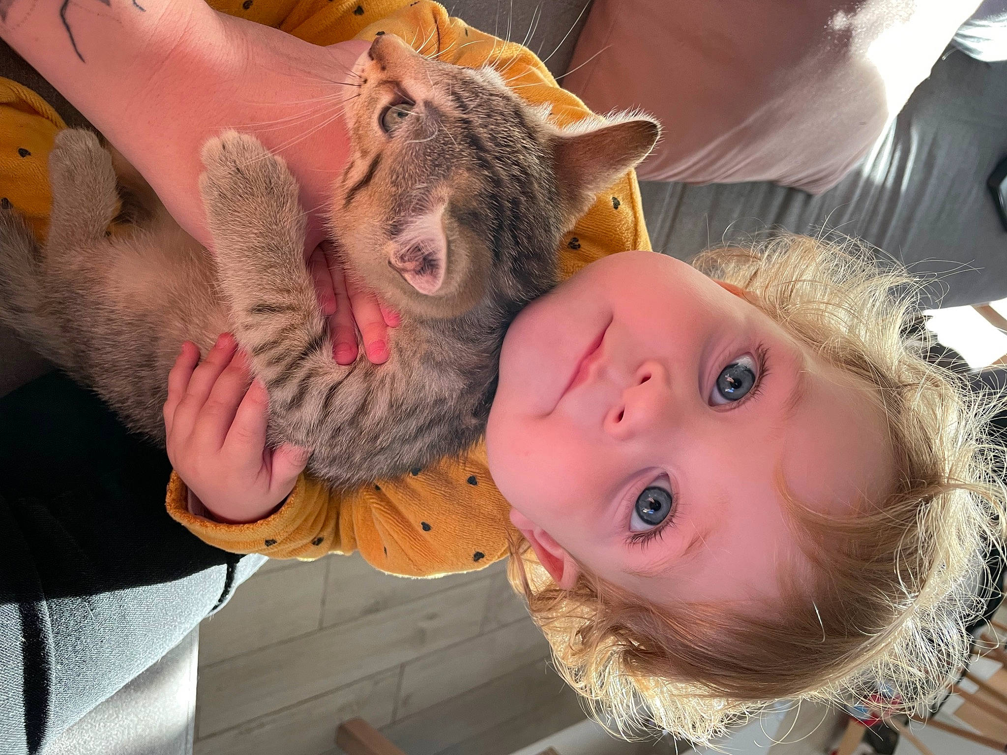 Solene participe au concours pour gagner de l'argent avec cette photo : blond, brown_hair, child, dog_breed, ear, eye, eyelash, fawn, felidae, fun, gesture, happy, head, long_hair, mouth, neck, person, skin, small_to_medium_sized_cats, toddler