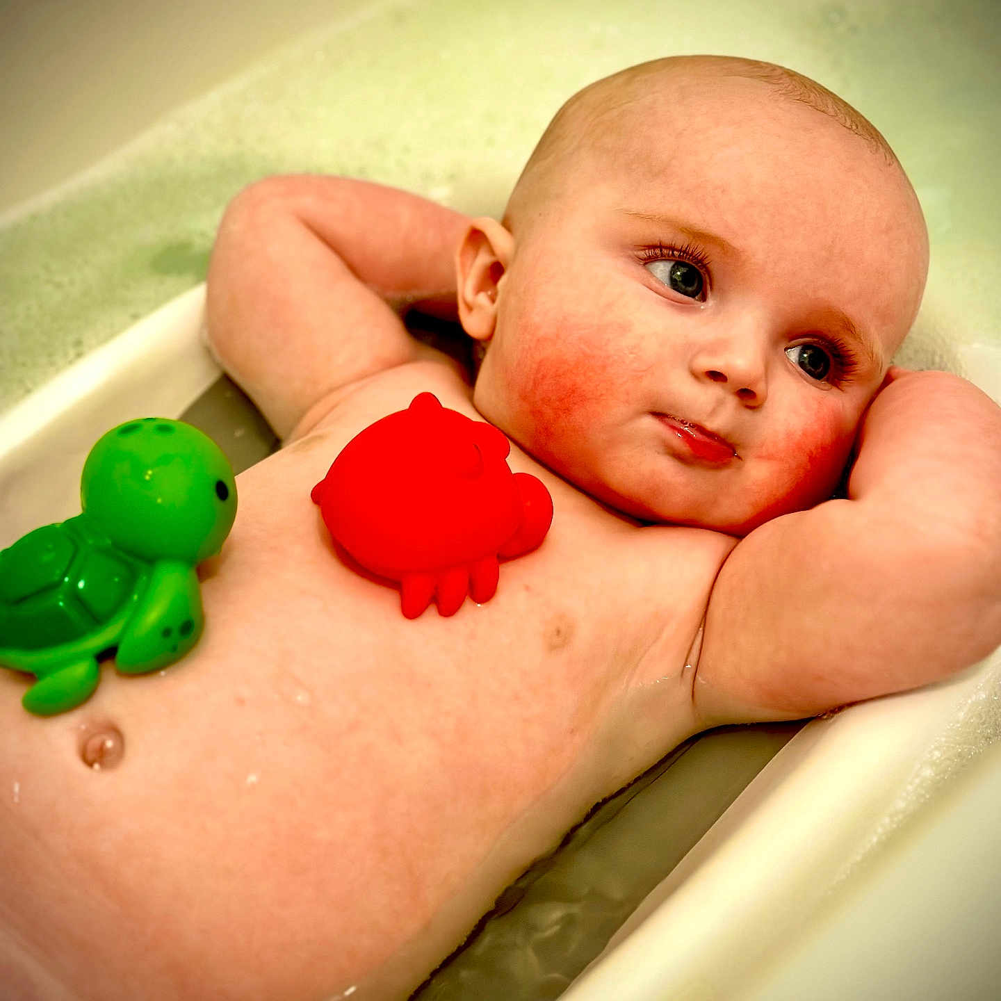 Tommy joined the competition — help win amazing prizes! baby, back, bathing, bathtub, bodypart, face, finger, flower, hand, head, newborn, person, photography, plant, portrait, rose, toy, tub