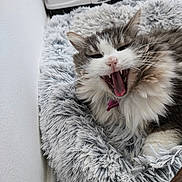Lilou participe au concours pour gagner de l'argent avec cette photo :