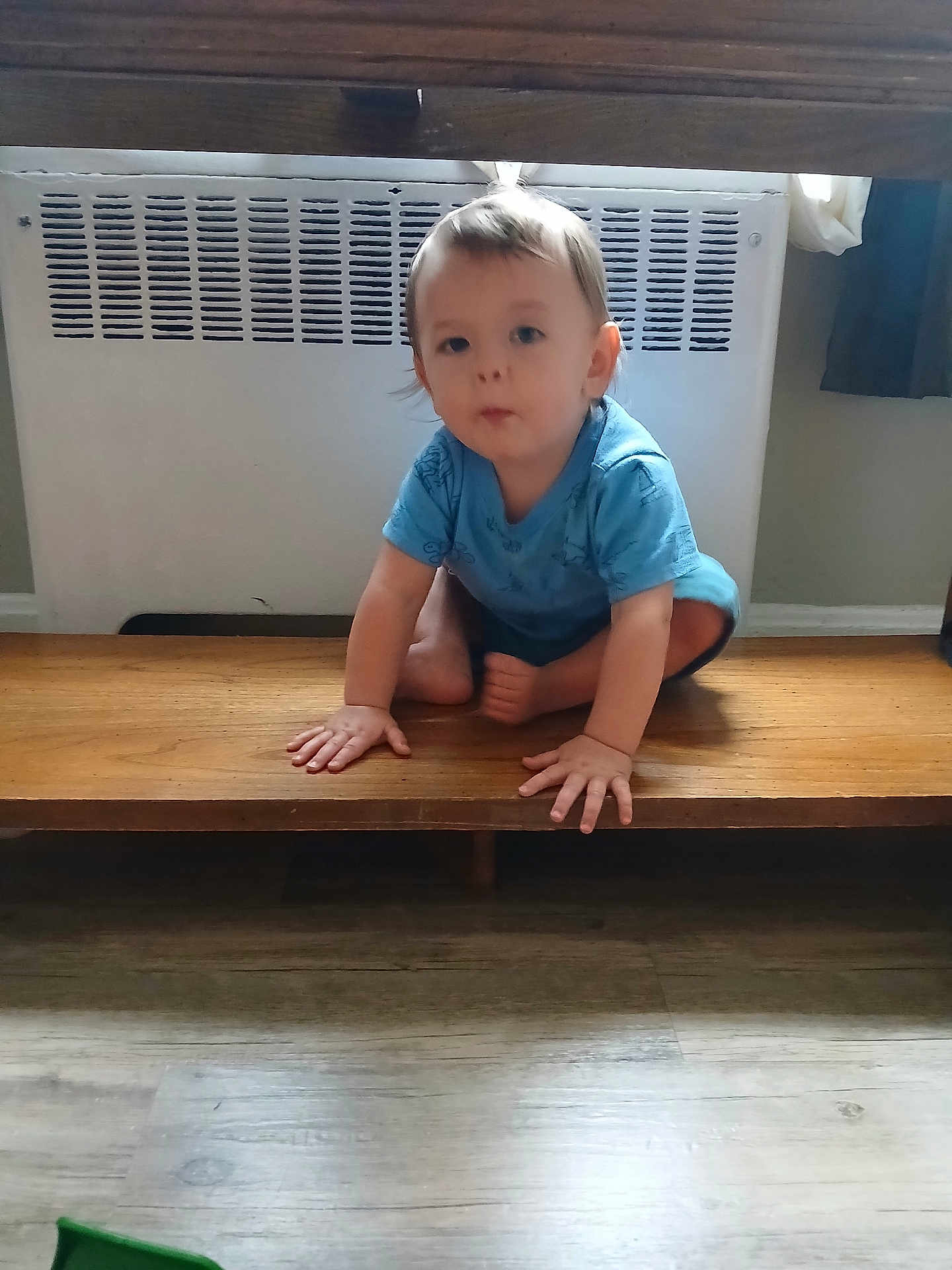 John is registered to the contest to win money with this photo: toddler, child, blue_shirt, wooden_shelf, indoor, floor, radiator, curious, crouching, hands, feet, light, window, curtain, home, person, young_child, flooring, wood, expression
