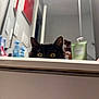 bathroom, black_cat, bottle, cabinet, cat, countertop, curious, door, eyes, feline, household, indoor, low_angle, mirror, peeking, pet, reflection, sink, wall, yellow_eyes