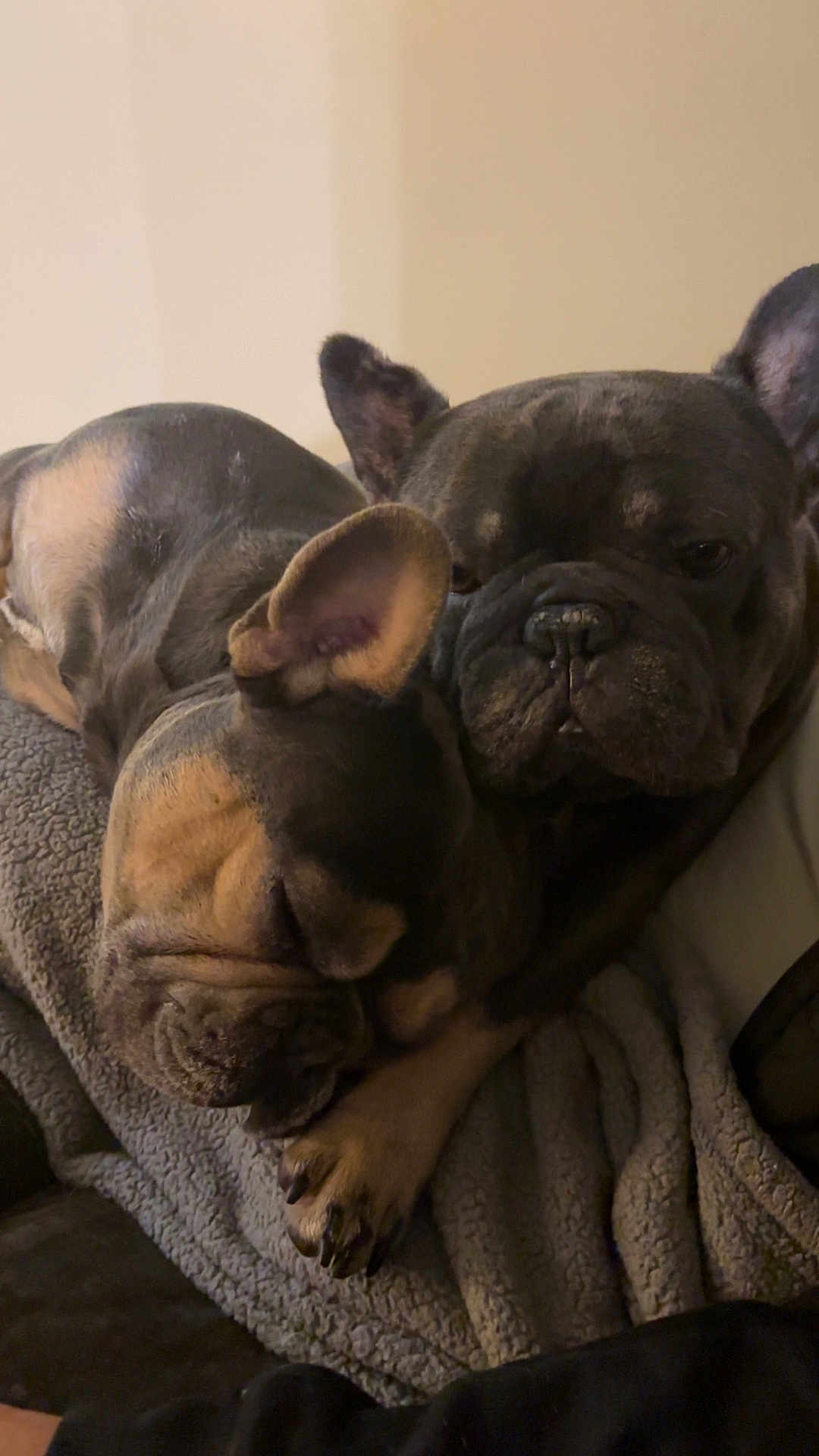Griffey And Willie