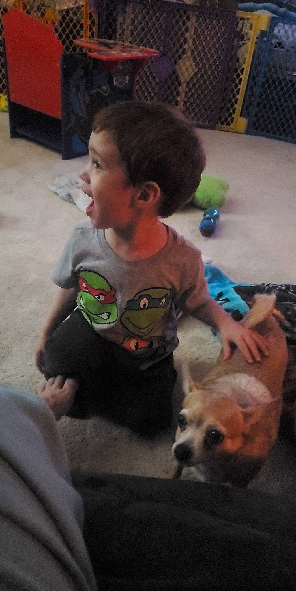 Bitsy joined the competition — help win amazing prizes! baby, carnivore, chair, child, companion_dog, dog_breed, flooring, fun, fur, happy, lap, leisure, play, sitting, skin, stuffed_toy, t_shirt, toddler, toy, vacation