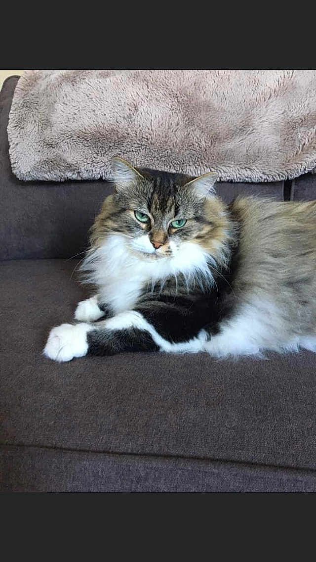 Maïa