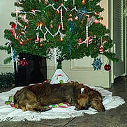 Jasmine Marie joined the competition — help win amazing prizes!