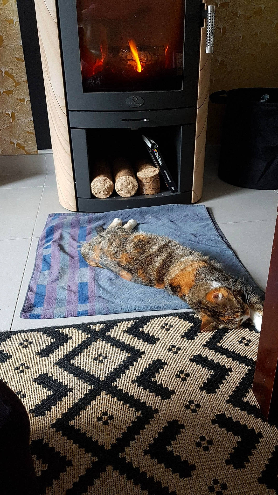Peach participe au concours pour gagner de l'argent avec cette photo : comfort_food, cooking, cuisine, dish, fire, fireplace, fish, flooring, food, gas, hardwood, heat, ingredient, rectangle, room, stove, tableware, tail, wood, wood_burning_stove
