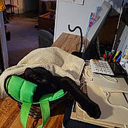 Lucie Lu is registered to the contest to win money with this photo: basket, black_cat, calculator, calendar, cat, clutter, cozy, desk, furniture, household, indoor, paper, paw, pens, relaxing, room, sleeping, stretching, towel, wooden_table
