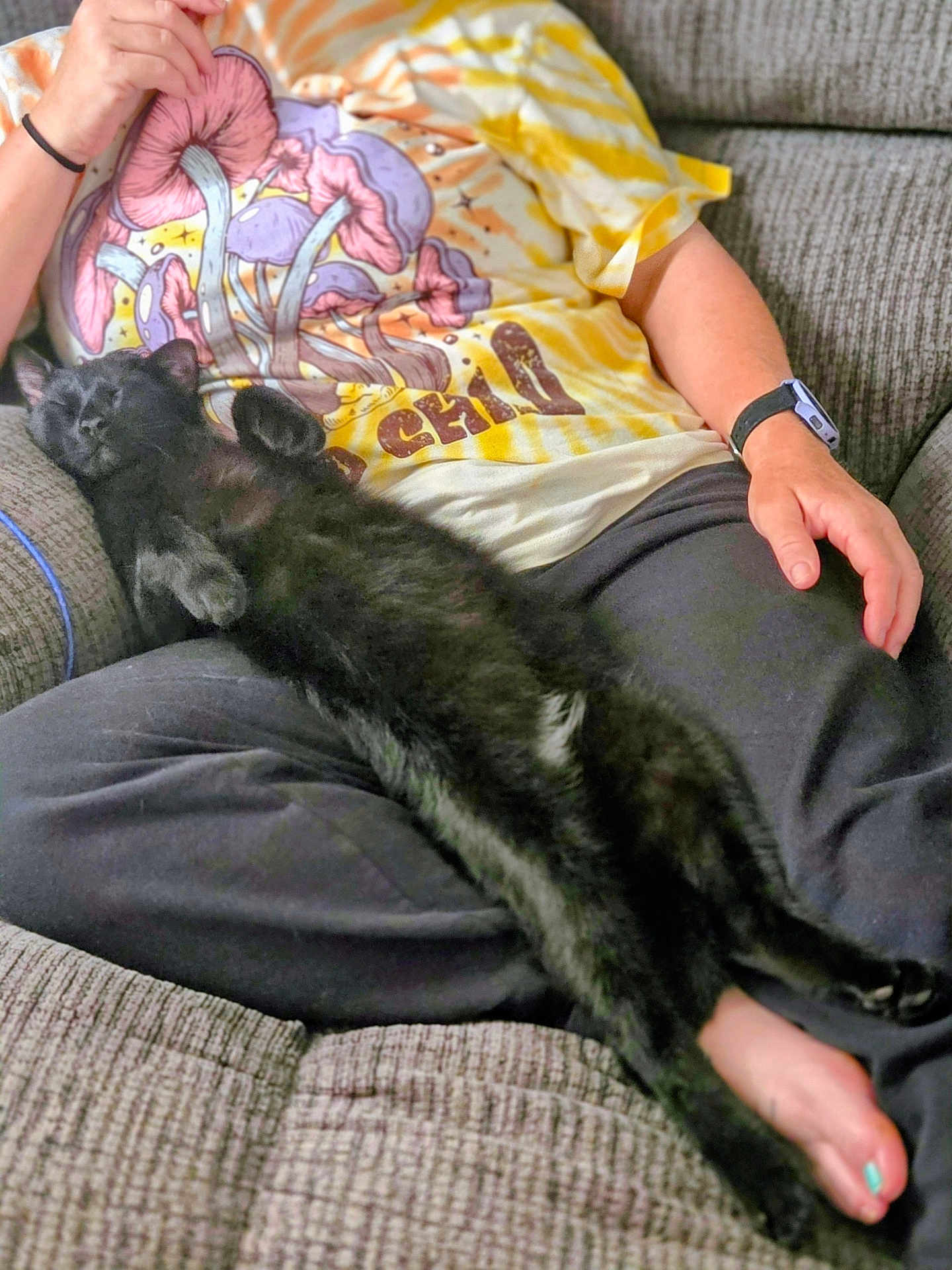 Lucie Lu joined the competition — help win amazing prizes! black_cat, casual, cat, clothing, couch, cozy, foot, hand, indoor, lap, mushroom_print, pants, person, pet, relaxed, shirt, sleeping, sofa, toenail_paint, watch