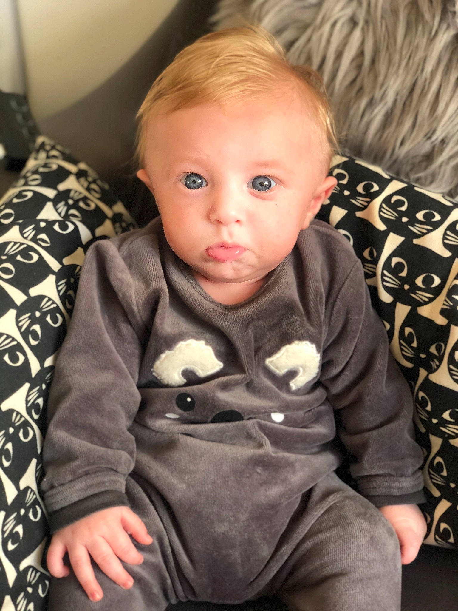 Marius participe au concours pour gagner de l'argent avec cette photo : baby, blond, cheek, child, eye, face, head, iris, person, sitting, skin, toddler