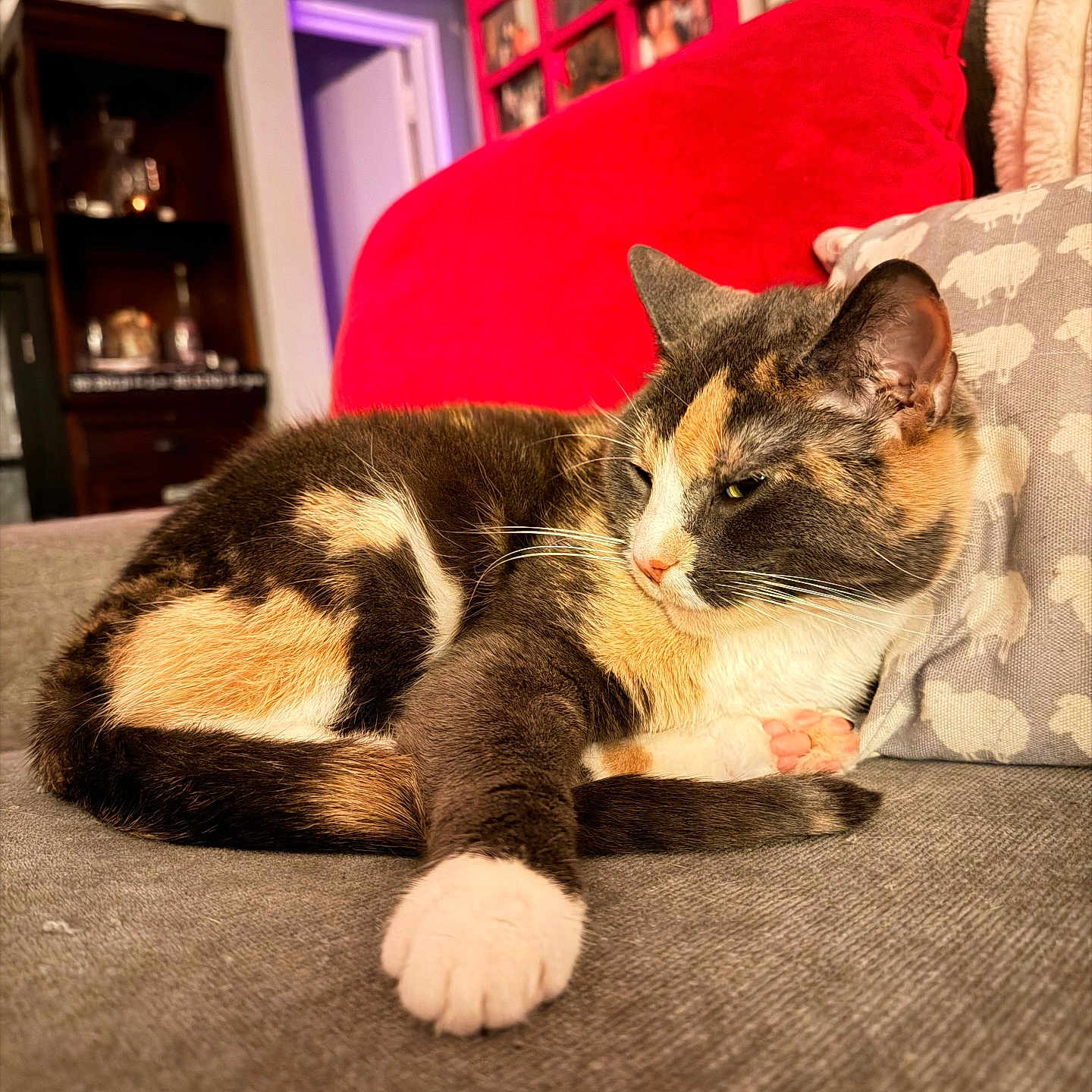 Sofia