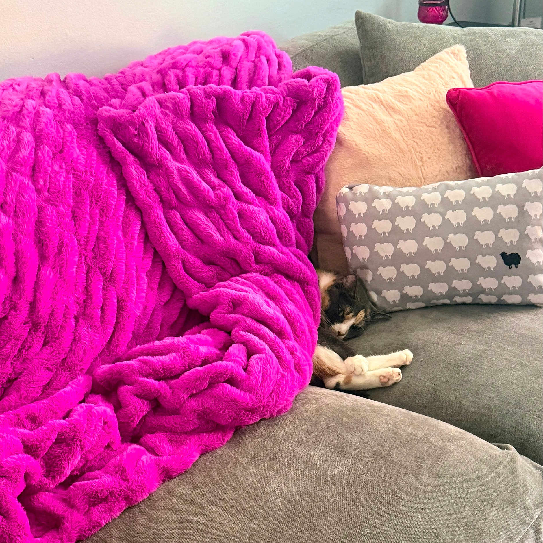 Sofia
