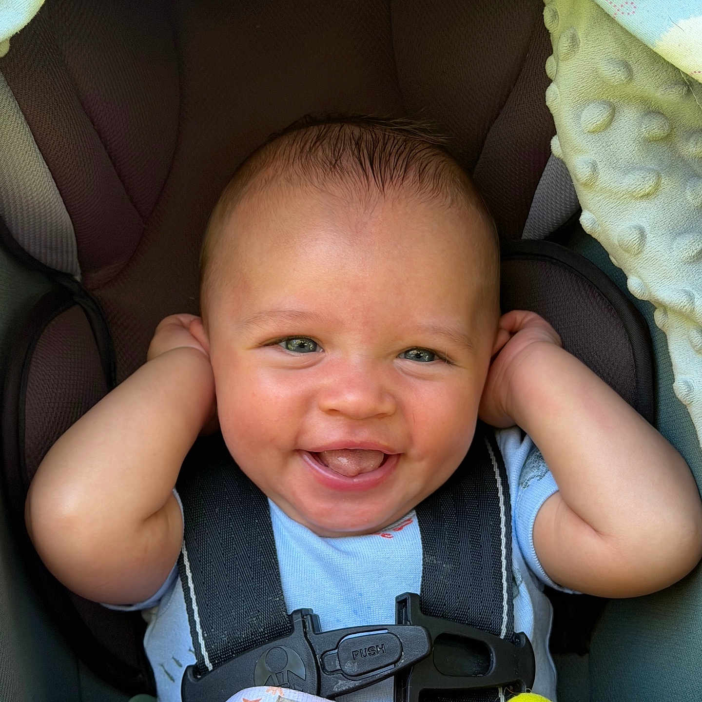 Malakai joined the competition — help win amazing prizes! baby, car_seat, smiling, happy, infant, child, plush_toys, blanket, seatbelt, blue_clothing, indoors, cute, portrait, face, head, hands, colorful, soft_texture, comfort, playful