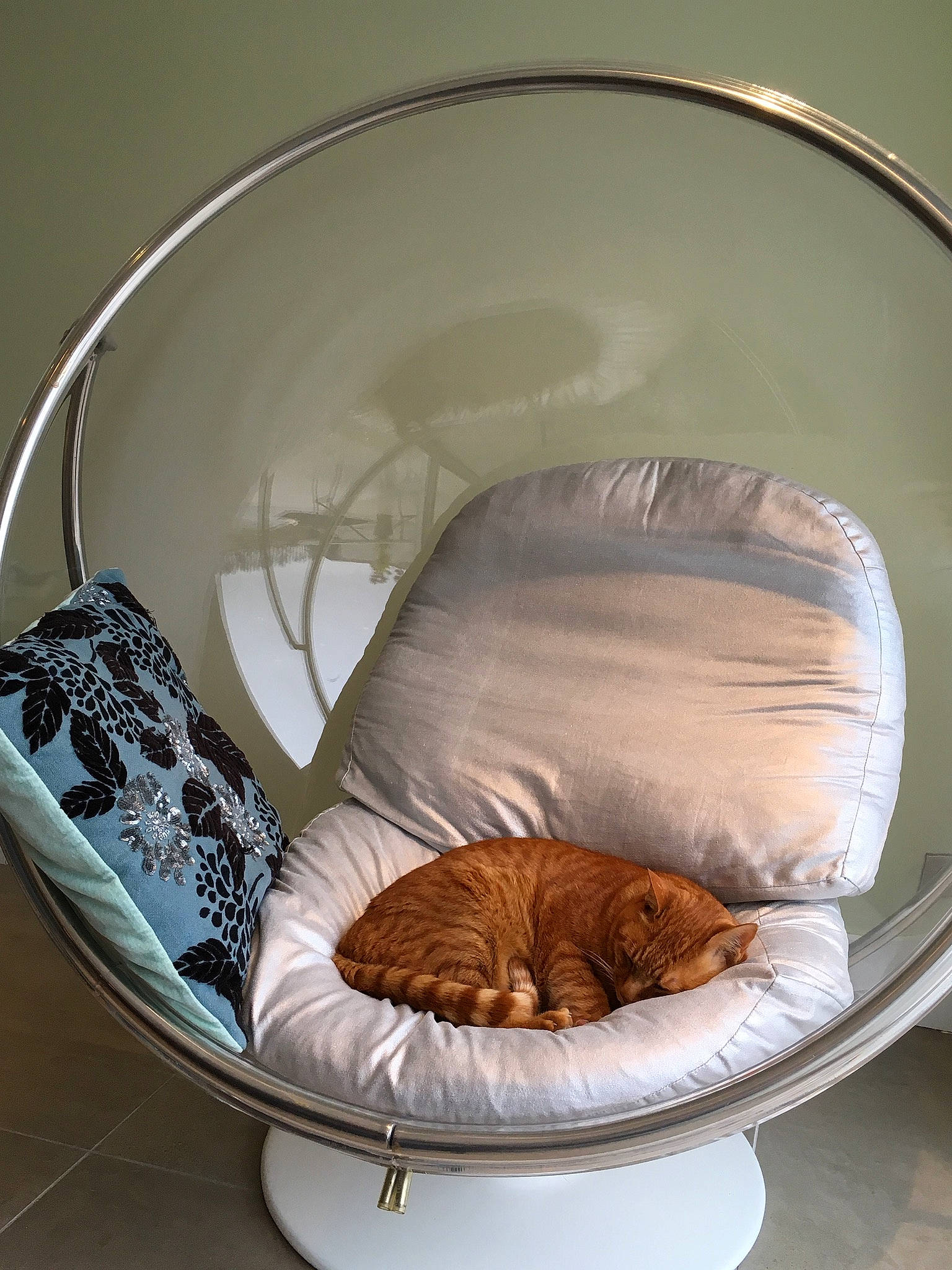 Mimine a rejoint le concours — aidez-le/la à gagner de superbes lots ! baby_products, bag, bedding, chair, circle, club_chair, comfort, couch, dishware, furniture, futon_pad, hardwood, linens, product, rectangle, room, serveware, throw_pillow, wicker, wood