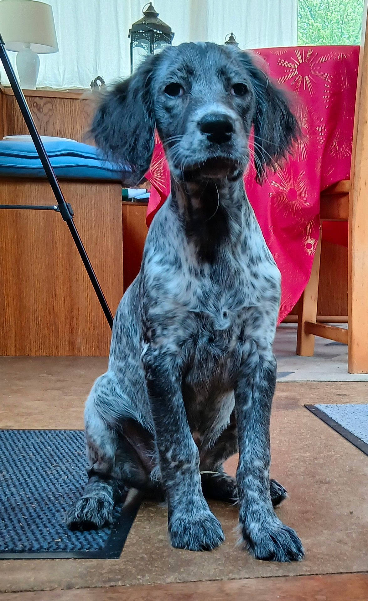 Mac