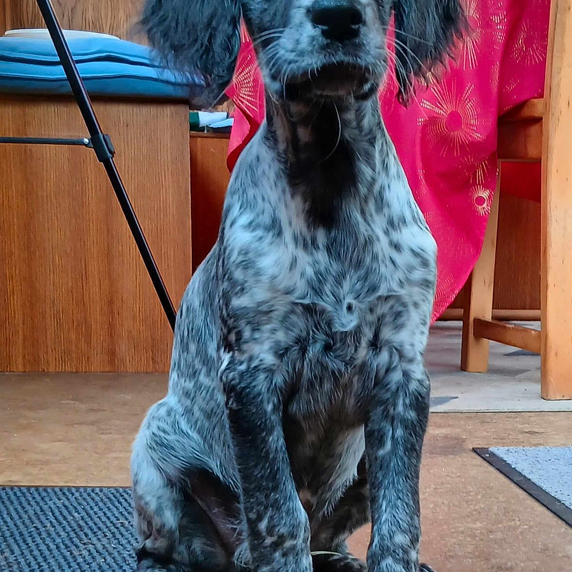 Mac