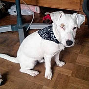 Jeff participe au concours pour gagner de l'argent avec cette photo :
