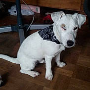 Jeff participe au concours pour gagner de l'argent avec cette photo :
