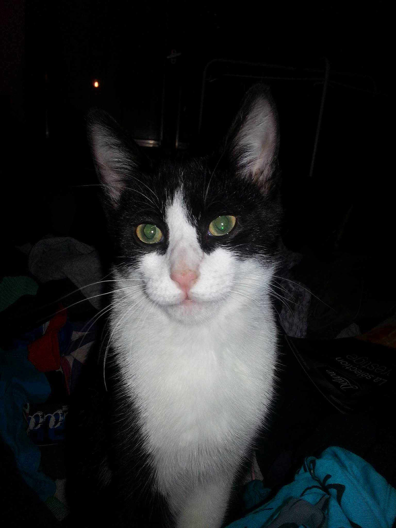 Jack