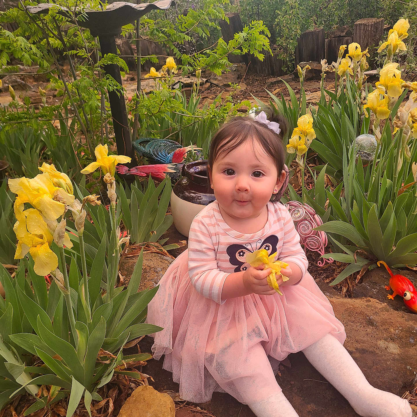 Lucia is registered to the contest to win money with this photo: child, daffodil, face, female, flower, garden, girl, grass, head, herbal, herbs, leaf, nature, outdoors, person, petal, photography, plant, portrait, pottedplant
