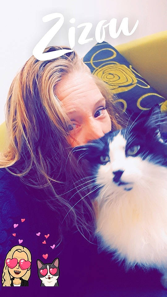 Zizou participe au concours pour gagner de l'argent avec cette photo : blond, brown_hair, carnivore, cat, cool, electric_blue, eyelash, eyewear, felidae, fun, fur, grass, happy, iris, lap, long_hair, mammal, skin, small_to_medium_sized_cats, whiskers