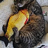 cat, tabby, toy, fish, blanket, cozy, indoor, pet, fur, claws, cute, sleepy, relaxed, paws, whiskers, domestic, animal, resting, soft, comfortable