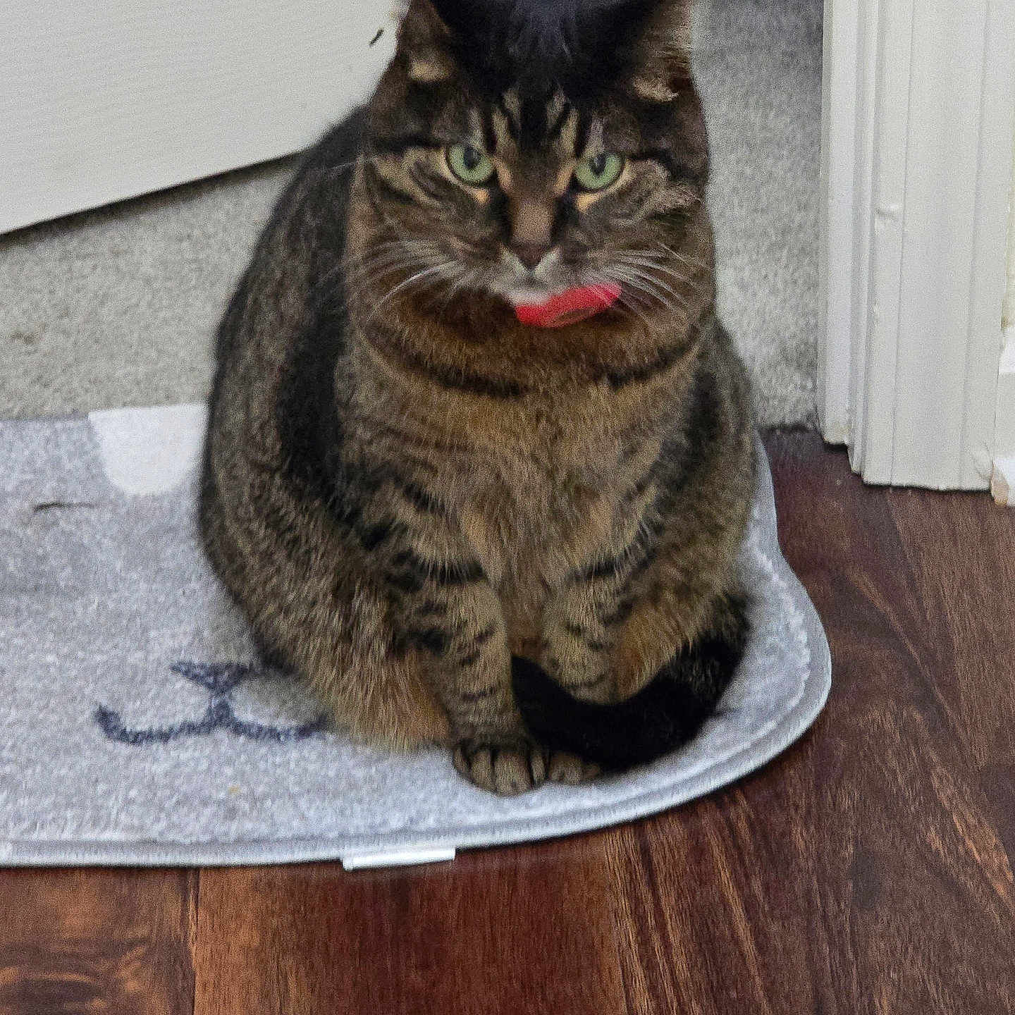 Mimi