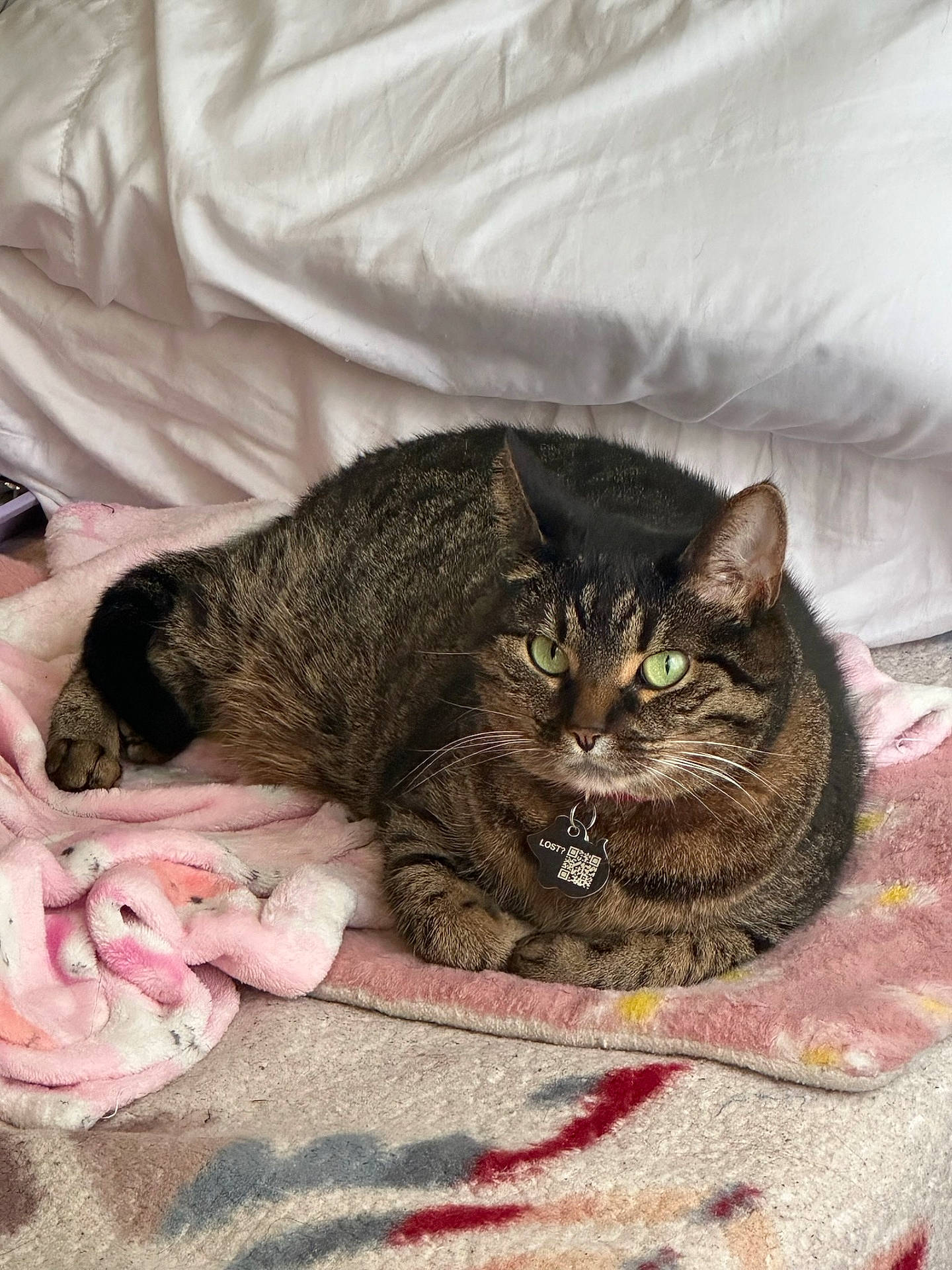 Mimi