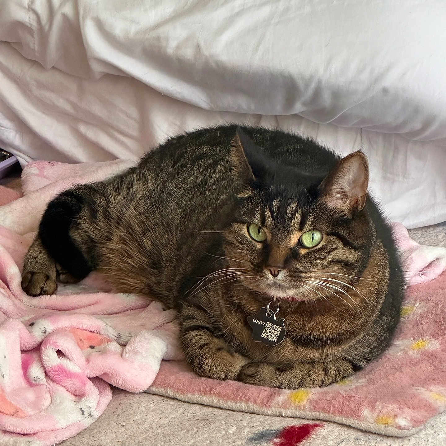 Mimi