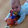 baby, child, toy, floor, wooden_floor, colorful, infant, chewing, hand, face, curious, crawling, blue_clothing, indoor, playtime, young_child, head, eyes, mouth, person