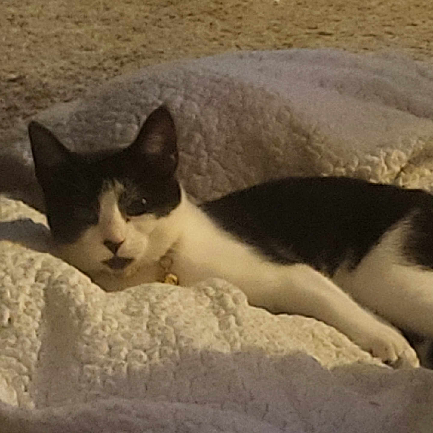 Zoey