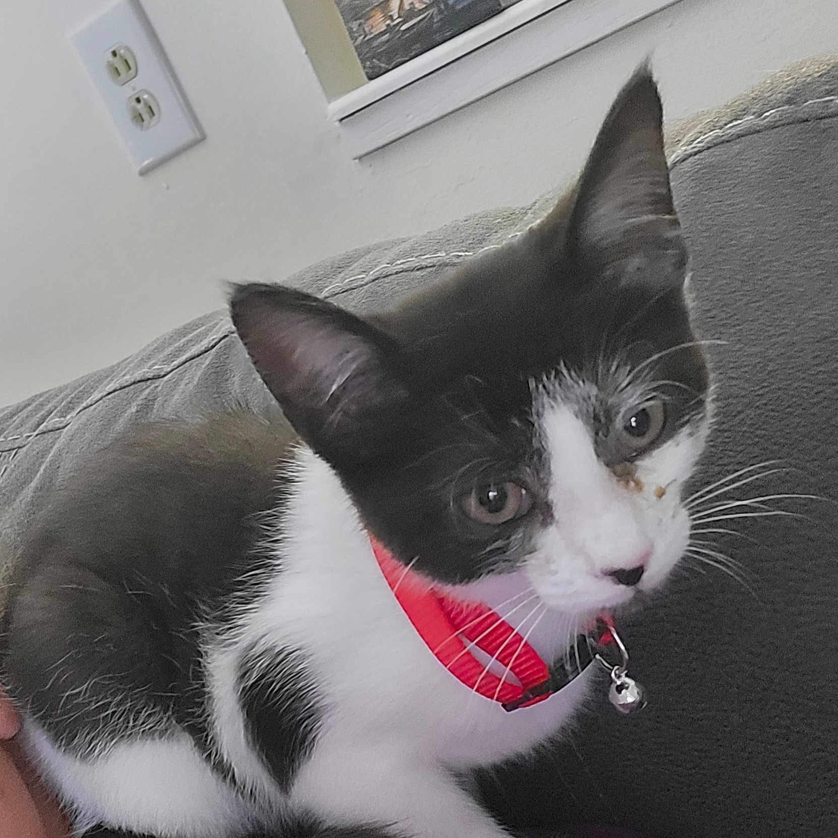 Zoey