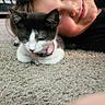 Zoey is registered to the contest to win money with this photo: kitten, cat, child, carpet, collar, bell, close_up, pet, smile, face, indoor, friendship, resting, cute, animal, young, feline, cozy, bond, happy