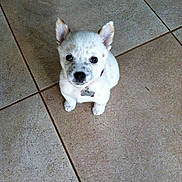 Winnie joined the competition — help win amazing prizes!