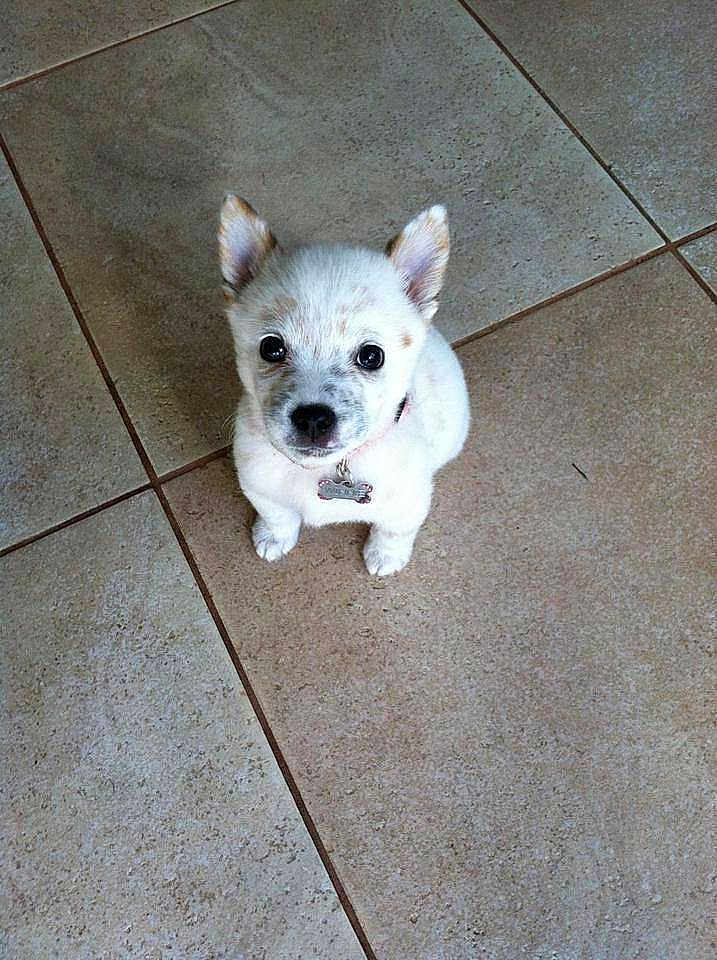 Winnie joined the competition — help win amazing prizes!