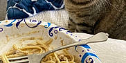 Chiquita is registered to the contest to win money with this photo: cat, tabby, spaghetti, food, plate, fork, bed, blanket, blue, white, dining, indoor, curious, animal, pet, carpet, furniture, meal, messy, closeup