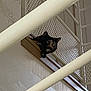 Cleo participe au concours pour gagner de l'argent avec cette photo : cat, tortoiseshell, indoor, balcony, railing, metal_bars, curious, pet, animal, wide_eyes, feline, home, looking, resting, quiet, wall, architecture, closeup, sitting, guardrail