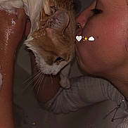 Malcom is registered to the contest to win money with this photo: cat, kitten, fluffy, brown_and_white, pet, animal, person, faces, affection, kissing, cuddling, close_up, portrait, indoor, cozy, bed, blanket, jewelry, heart_emoji, whiskers