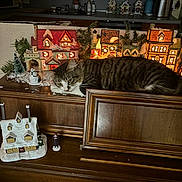 Fendi joined the competition — help win amazing prizes! cat, ceramic_house, christmas_decor, closeup, countertop, cozy_scene, decorative_lights, figurine, furniture, greenery, holiday_village, indoor, kitchen, miniature_houses, pet, resting, snow_effect, tabby_cat, warm_lighting, wooden_surface