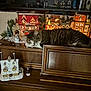 cat, ceramic_house, christmas_decor, closeup, countertop, cozy_scene, decorative_lights, figurine, furniture, greenery, holiday_village, indoor, kitchen, miniature_houses, pet, resting, snow_effect, tabby_cat, warm_lighting, wooden_surface