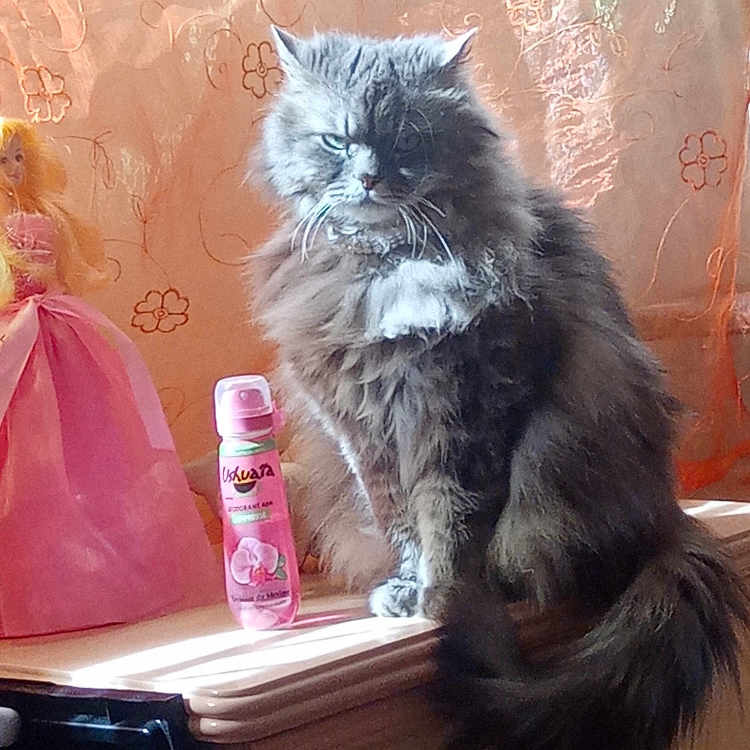 Princesse