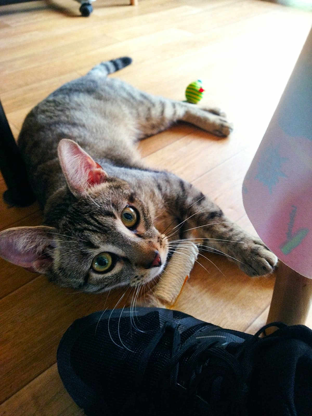 Yoshi