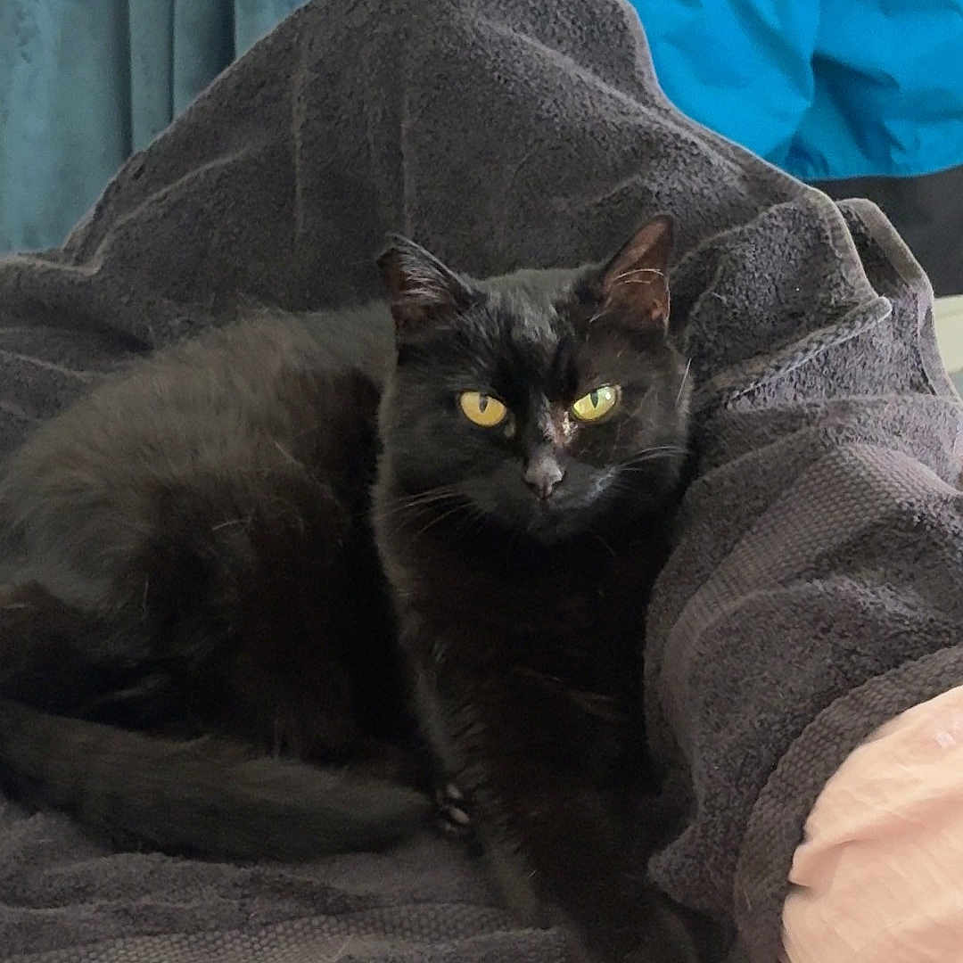 Fiona