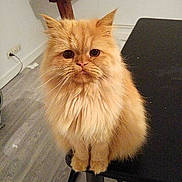 Jax a rejoint le concours — aidez-le/la à gagner de superbes lots !