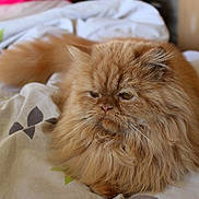 Jax a rejoint le concours — aidez-le/la à gagner de superbes lots !