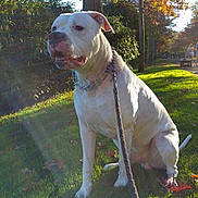 Goliath a rejoint le concours — aidez-le/la à gagner de superbes lots !