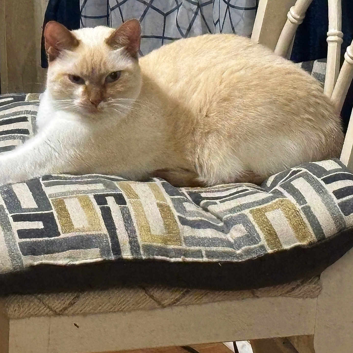 Nina