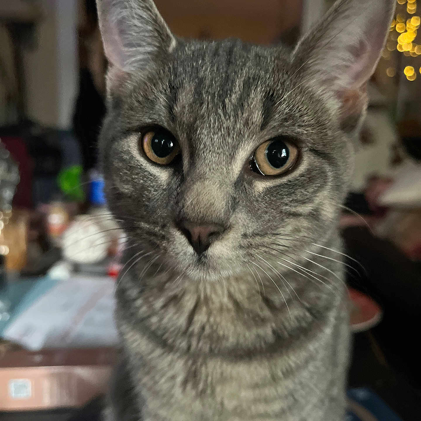 Thumper