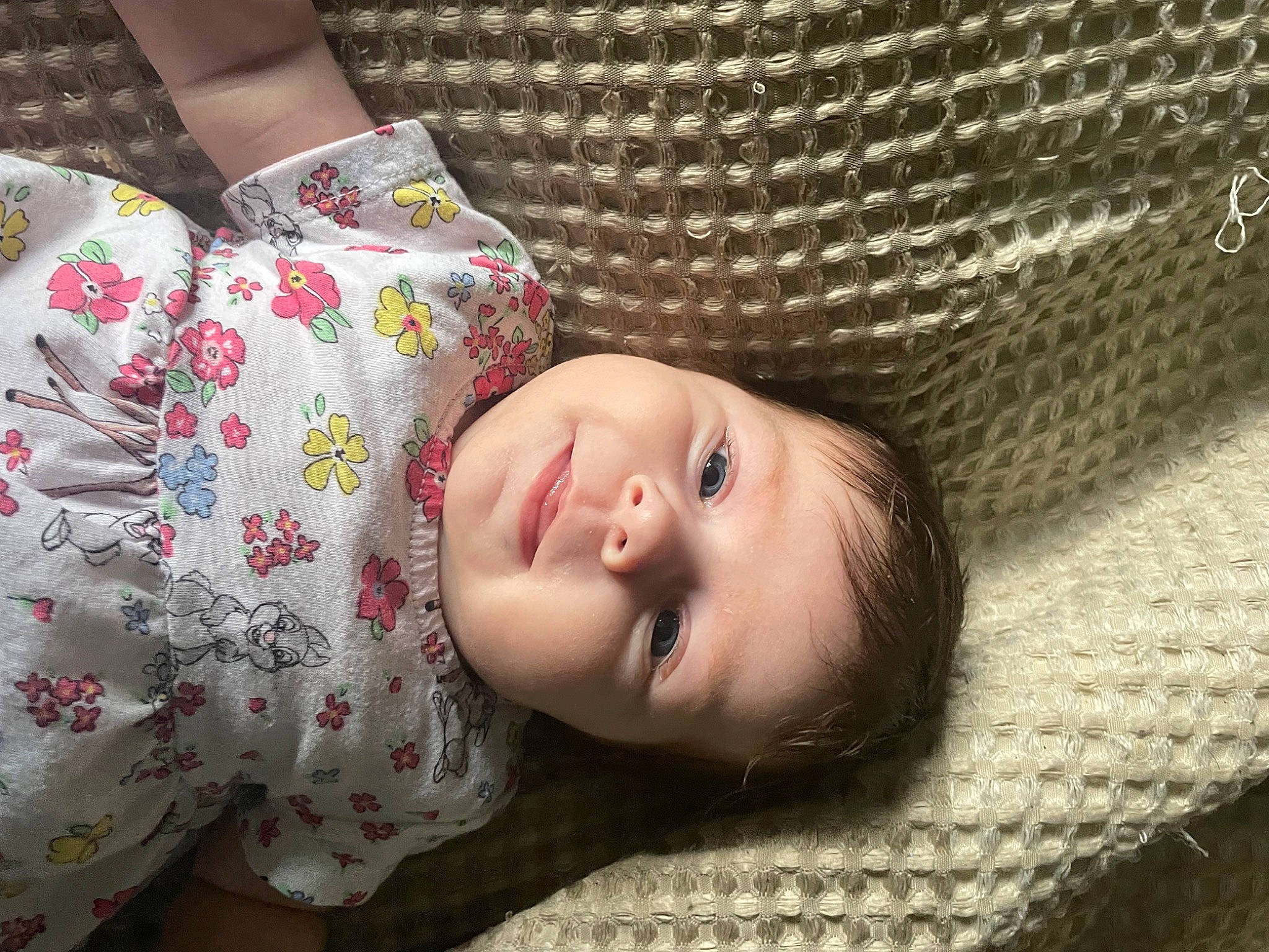 Ivy-mae joined the competition — help win amazing prizes! baby, baby_products, baby_toddler_clothing, child, comfort, flash_photography, flooring, grass, happy, headgear, linens, lip, nose, pattern, person, sitting, skin, sleeve, smile, toddler