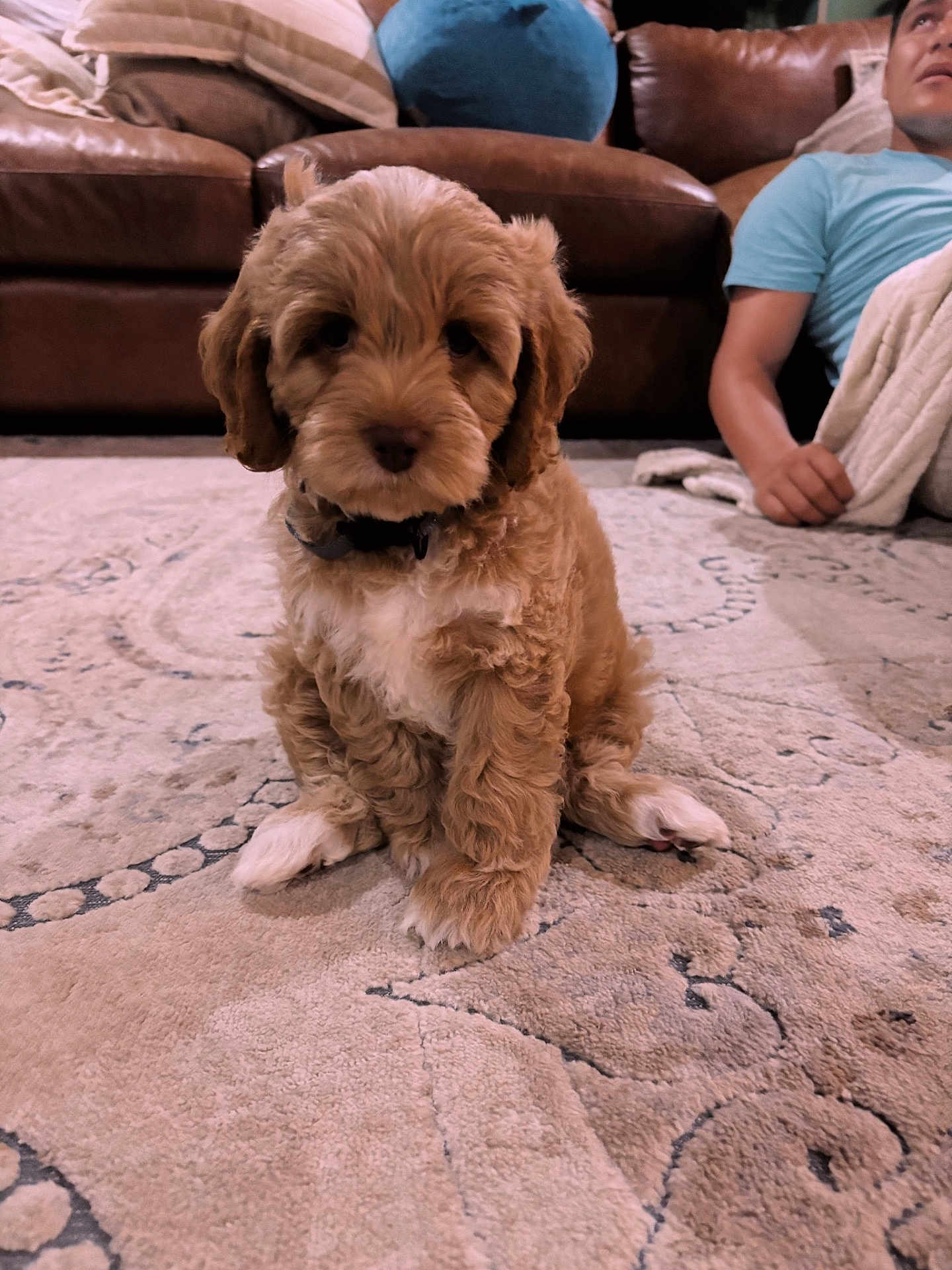 Gunner