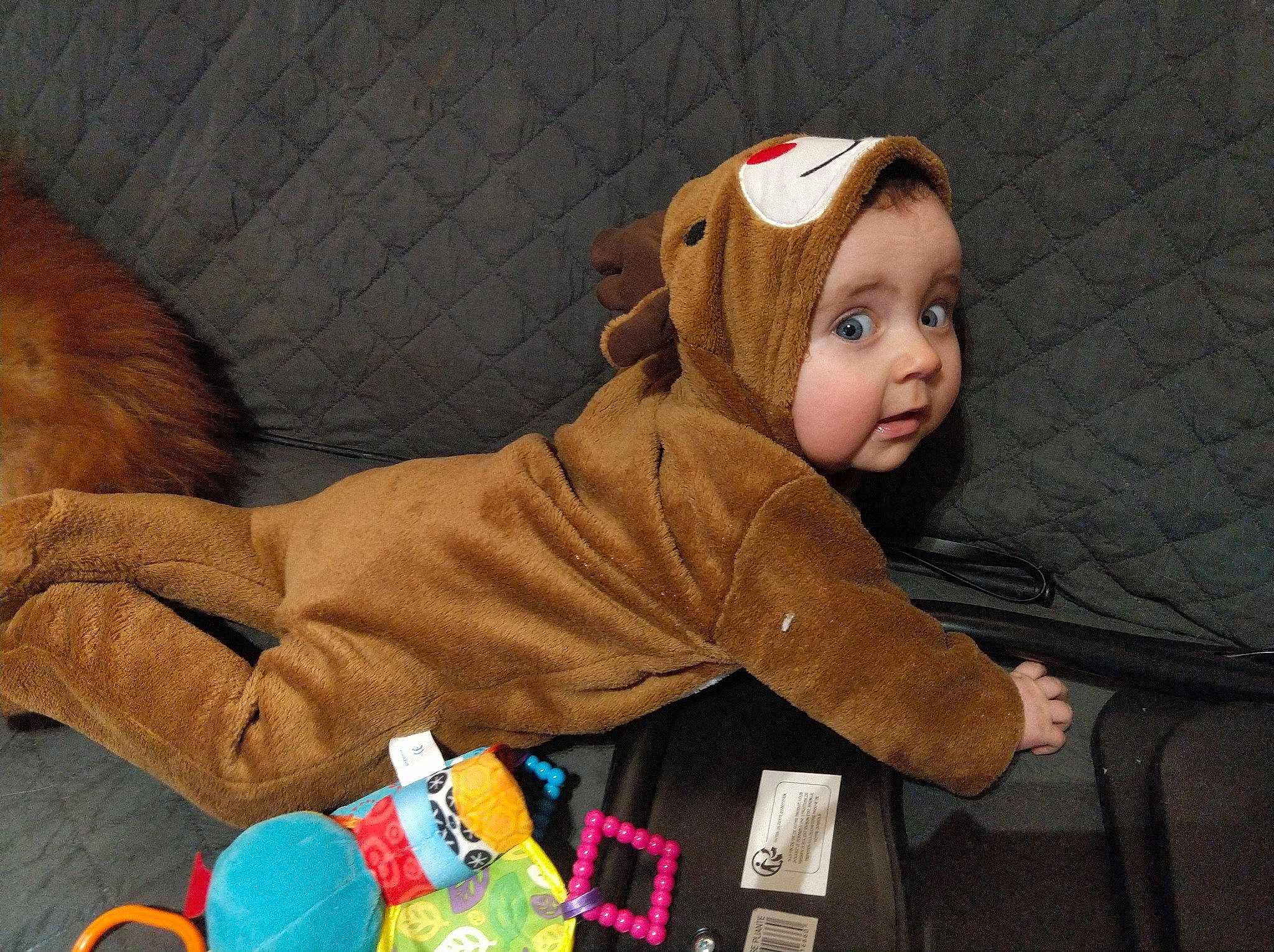 Daria participe au concours pour gagner de l'argent avec cette photo : baby, child, ear, fawn, person, skin, toddler